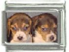 Italian Charms Modul Hunde - Beagle