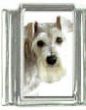 Italian Charms Modul Hunde - Schnauzer