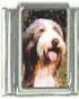 Italian Charms Modul Hunde - Bearded Collie