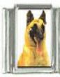 Italian Charms Modul Hunde - Belgischer Sch�ferhund