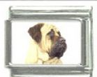 Italian Charms Modul Hunde - Mastiff