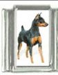 Italian Charms Modul Hunde - Zwergpinscher