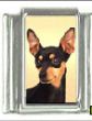 Italian Charms Modul Hunde - Zwergpinscher
