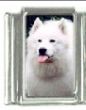 Italian Charms Modul Hunde - Samojede