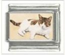 Italian Charms Modul Katzen