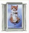 Italian Charms Modul Katzen