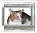Italian Charms Modul Katzen