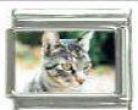 Italian Charms Modul Katzen