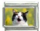 Italian Charms Modul Katzen