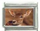 Italian Charms Modul Antilope