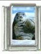 Italian Charms Modul Seel�we
