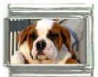 Italian Charms Modul Hunde - Bernhardiner