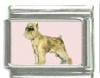 Italian Charms Modul Hunde - Br�sseler Griffon