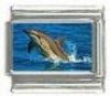 Italian Charms Modul Delphin