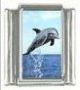 Italian Charms Modul Delphin