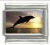 Italian Charms Modul Delphin
