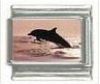 Italian Charms Modul Delphin