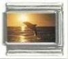 Italian Charms Modul Delphin