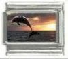 Italian Charms Modul Delphin