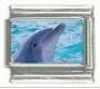 Italian Charms Modul Delphin