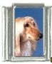 Italian Charms Modul Hunde - Afghane