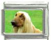 Italian Charms Modul Hunde - Afghane