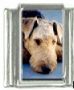 Italian Charms Modul Hunde - Airedale Terrier