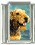 Italian Charms Modul Hunde - Airedale Terrier