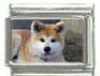 Italian Charms Modul Hunde - Akita