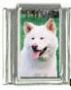 Italian Charms Modul Hunde - Akita