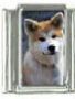 Italian Charms Modul Hunde - Akita