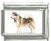 Italian Charms Modul Hunde - Alaskan Malamute