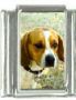 Italian Charms Modul Hunde - Beagle