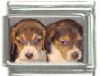 Italian Charms Modul Hunde - Beagle