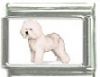 Italian Charms Modul Hunde - Bichon Frise