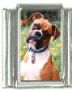 Italian Charms Modul Hunde - Boxer