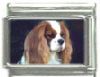 Italian Charms Modul Hunde - Cavalier King Charles Spaniel