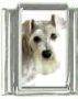 Italian Charms Modul Hunde - Schnauzer