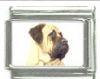 Italian Charms Modul Hunde - Mastiff