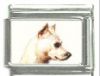 Italian Charms Modul Hunde - Zwergpinscher