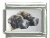 Italian Charms Modul Hunde - Pointer