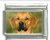 Italian Charms Modul Hunde - Rhodesian Ridgeback