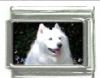 Italian Charms Modul Hunde - Samojede