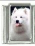 Italian Charms Modul Hunde - Samojede