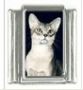 Italian Charms Modul Katzen