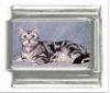 Italian Charms Modul Katzen