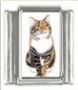Italian Charms Modul Katzen