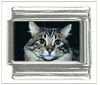 Italian Charms Modul Katzen