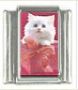 Italian Charms Modul Katzen