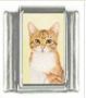 Italian Charms Modul Katzen